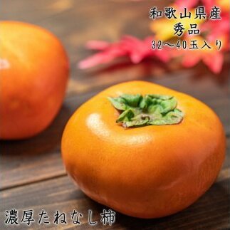 AB6803_ys\zyH̔zya̎RuhzZ˂Ȃ` Gi M`LTCY 7.5kg