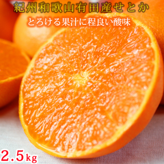 G6108_【先行予約】とろける食感！ジューシー柑橘 せとか 2.5kg