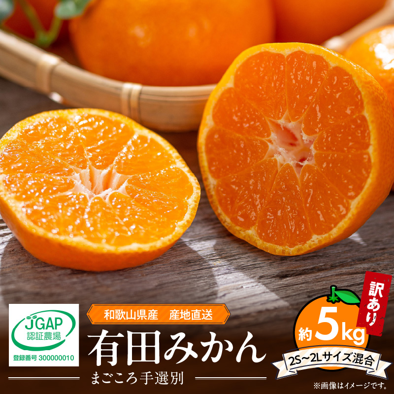 G60-T45_【定期便 全3回】紀州和歌山産 旬のご家庭用 柑橘セット