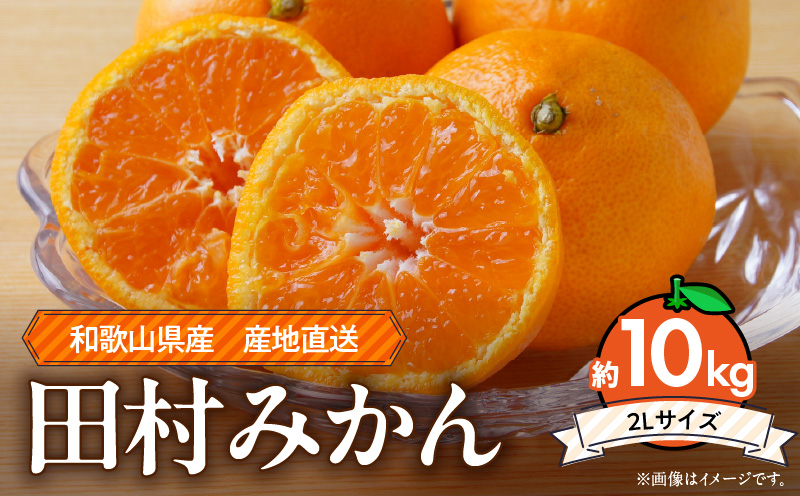 【和歌山県有田郡湯浅町】ZE6487_Y_【直営限定】【2025年先行予約】和歌山 湯浅町産 田村みかん 10kg【2L】