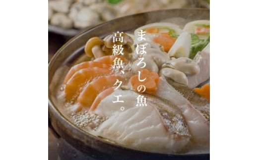 R1002 天然 クエ鍋 500g くえ鍋セット 和歌山県有田郡湯浅町 ふるさと納税サイト ふるさとプレミアム