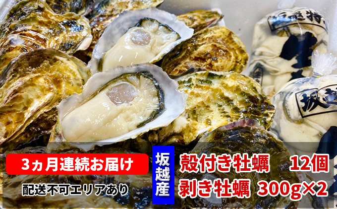  定期便 牡蠣 坂越かき 剥き牡蠣 300g×2、殻付き牡蠣 12個 オイスターナイフ付き【3ヵ月連続お届け】[ 生牡蠣 かき カキ 生食 冬牡蠣 ]