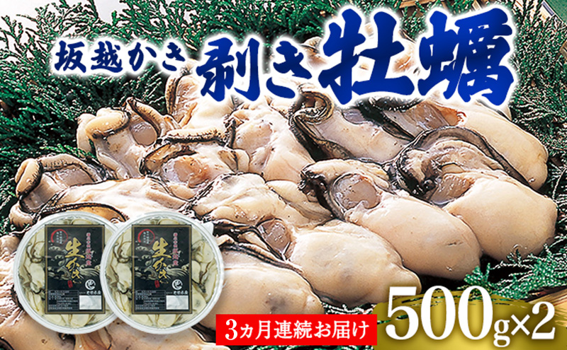  定期便 牡蠣 坂越かき 剥き牡蠣 500g×2【3ヵ月連続お届け】[ 生牡蠣 かき カキ むき身 剥き身 生食 冬牡蠣 ]