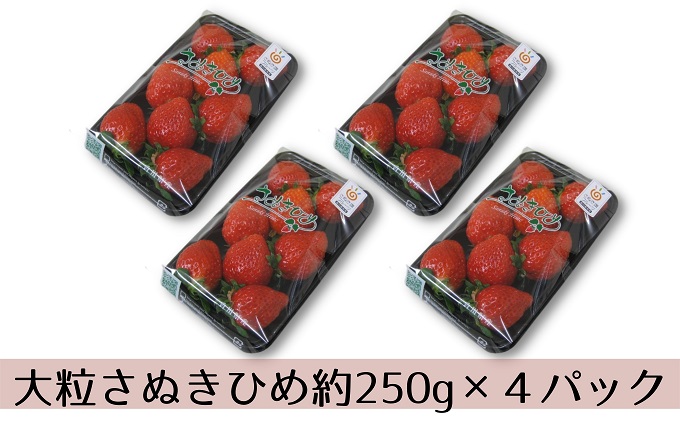 大粒さぬきひめいちご　DX250g×4パック　香川県綾川町　セゾンのふるさと納税