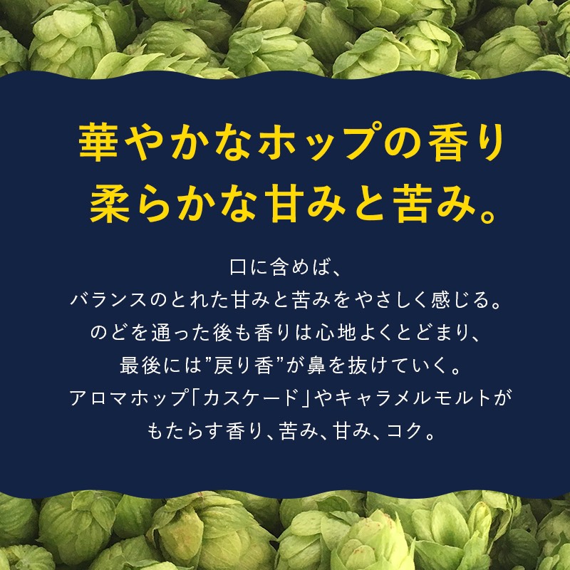 大阪府泉佐野市のふるさと納税 よなよなエール24本 クラフトビール 先取り配送 期間限定
