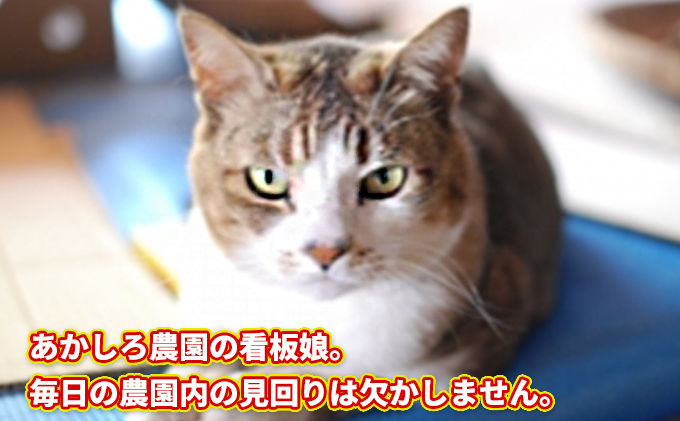 定期便3ヶ月】あかしろ農園の もち麦 約4kg(キラリモチ 約1kg×4 定期便3ヶ月】あかしろ農園の もち麦 約4kg(キラリモチ 約1kg×4