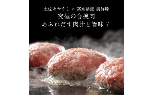 人気惣菜 数量限定 牛肉 豚肉 創業50年老舗レストランの幻の和牛あかうしハンバーグ130g×16コ＋特製デミソース×4袋、特製トマトソース×4袋  焼くだけ 溢れる肉汁 土佐あか牛 ハンバーグ 小分け 緊急支援品