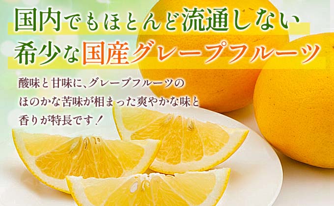 宮崎県日南市のふるさと納税 テレビで紹介された 数量限定 グレープフルーツ 月夜実 白 つくよみ 計4kg以上 期間限定 希少 完熟 果物 くだもの 柑橘 オリジナル ブランド 国産 食品 人気 おすすめ デザート スイーツ おやつ おすそ分け お取り寄せ グルメ 産地直送 宮崎県 日南市 送料無料_BC102-24