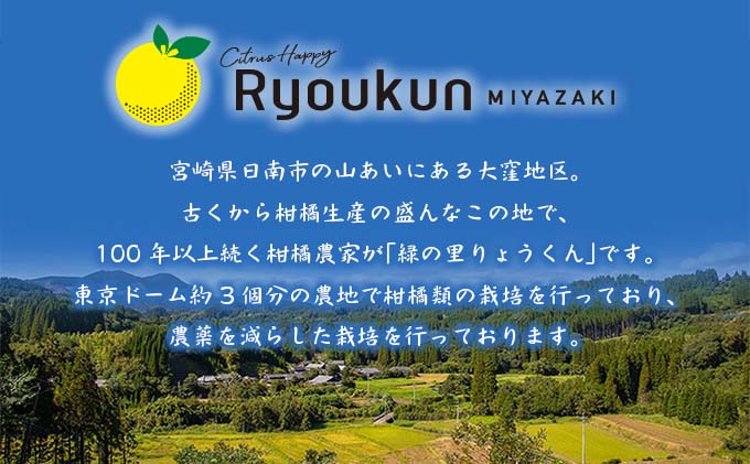 宮崎県日南市のふるさと納税 テレビで紹介された 数量限定 グレープフルーツ 月夜実 白 つくよみ 計4kg以上 期間限定 希少 完熟 果物 くだもの 柑橘 オリジナル ブランド 国産 食品 人気 おすすめ デザート スイーツ おやつ おすそ分け お取り寄せ グルメ 産地直送 宮崎県 日南市 送料無料_BC102-24