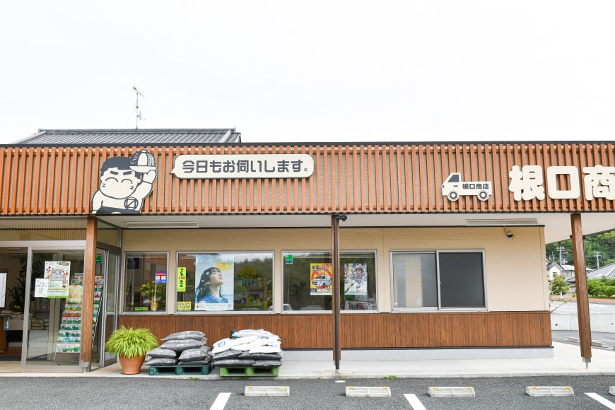 宮城県気仙沼市のふるさと納税 宮城のおこめ食べくらべセット ひとめぼれ & ササニシキ 各5kg 総計 10kg [根口商店 宮城県 気仙沼市 20565030] 米 お米 白米 精米 三陸産 宮城県産 ブランド米 ご飯 ごはん コメ こめ 小分け