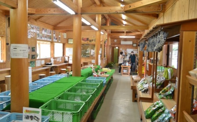 京都府南山城村のふるさと納税 産地直送！！南山城村ふるさと味わいセットA【村のお野菜・お茶・お米】 詰合せ 季節の野菜