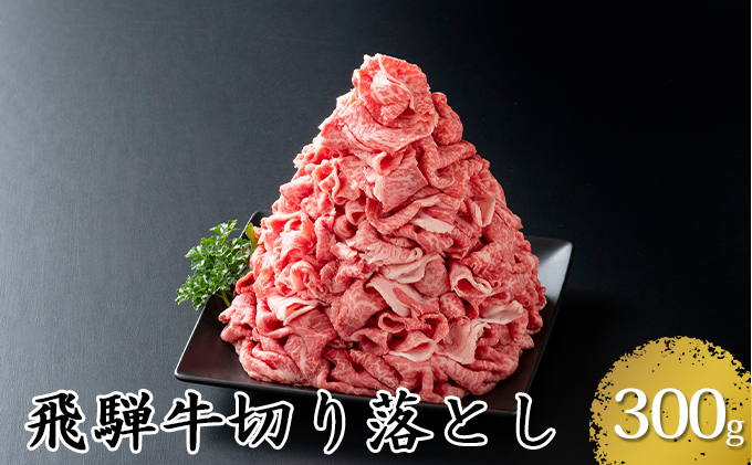 【岐阜県輪之内町】飛騨牛切り落とし300g(5等級・冷凍)