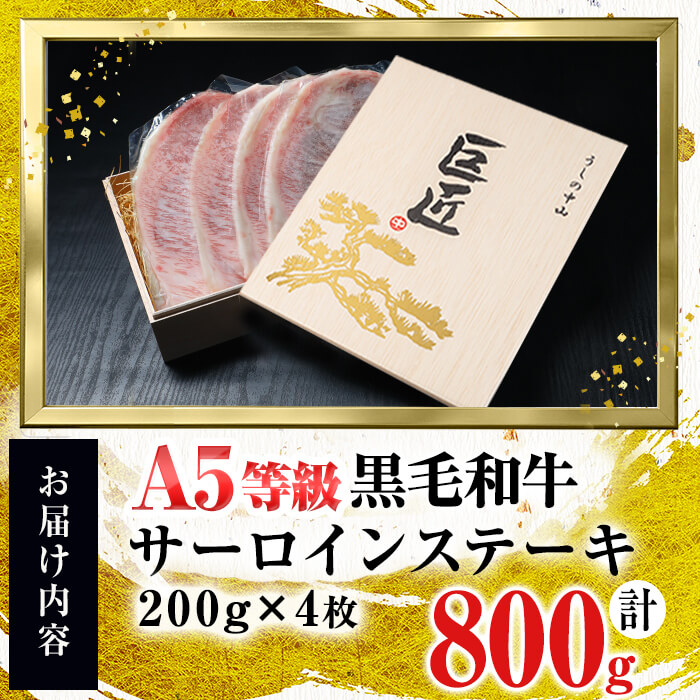 鹿児島県志布志市のふるさと納税 【ギフト対応】＜A5等級＞黒毛和牛 巨匠の至福のサーロインステーキ 計800g(200g×4枚) wa24-005