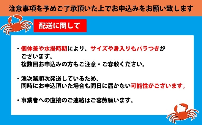 富山県射水市のふるさと納税 【特選】本ずわいがに約900g（孫七タグ付）