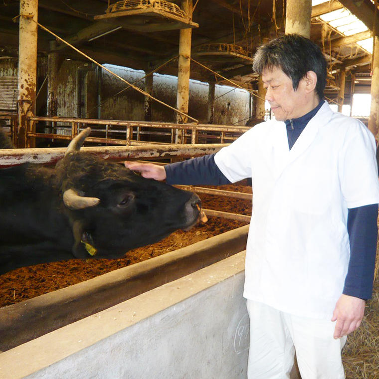 茨城県産高級黒毛和牛「常陸牛」 もも焼肉用 580g [AI003ya