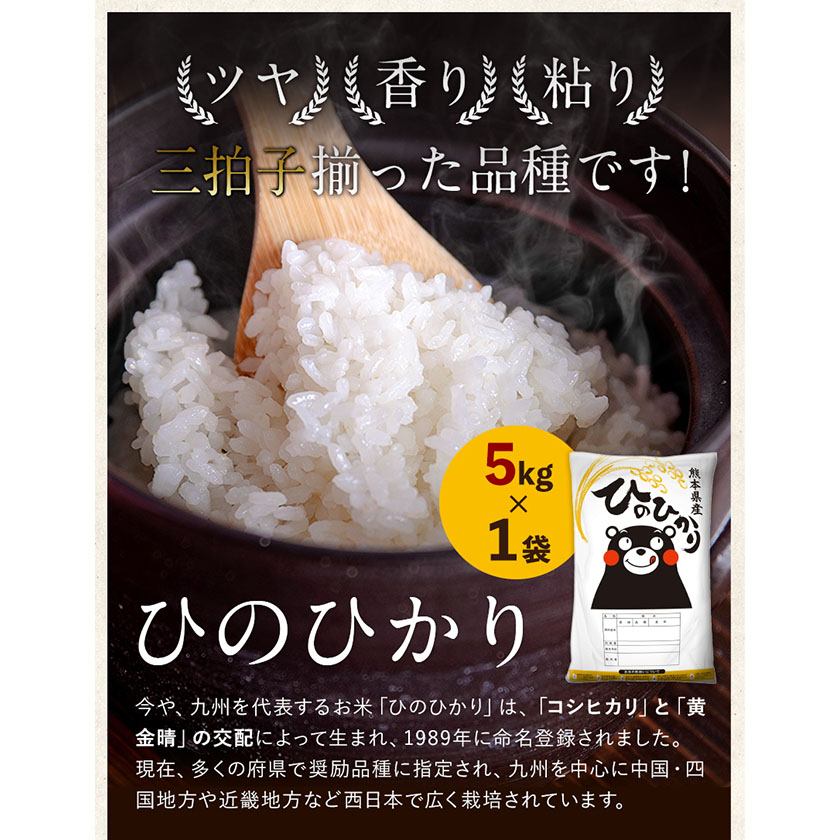 熊本県菊池産 ヒノヒカリ 5kg×4袋 計20kg 5分づき米 お米 分づき米 令