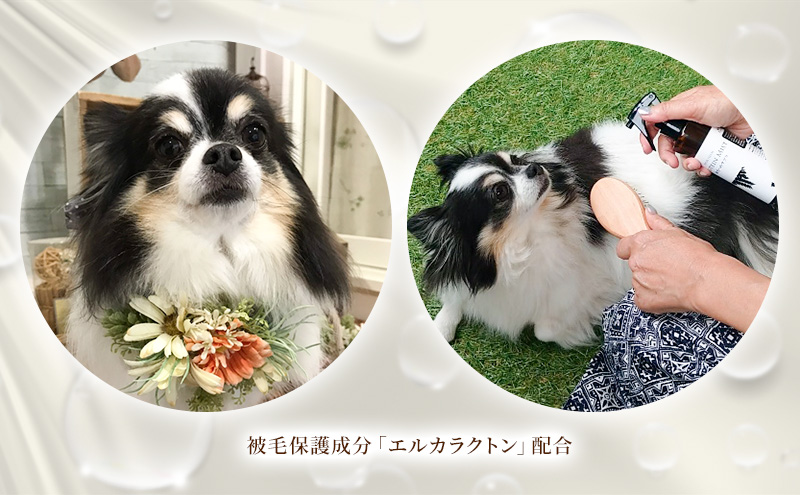 犬用 プロテインミスト 0ml 詰替用 400ml セット 岐阜県海津市 ふるさと納税サイト ふるさとプレミアム