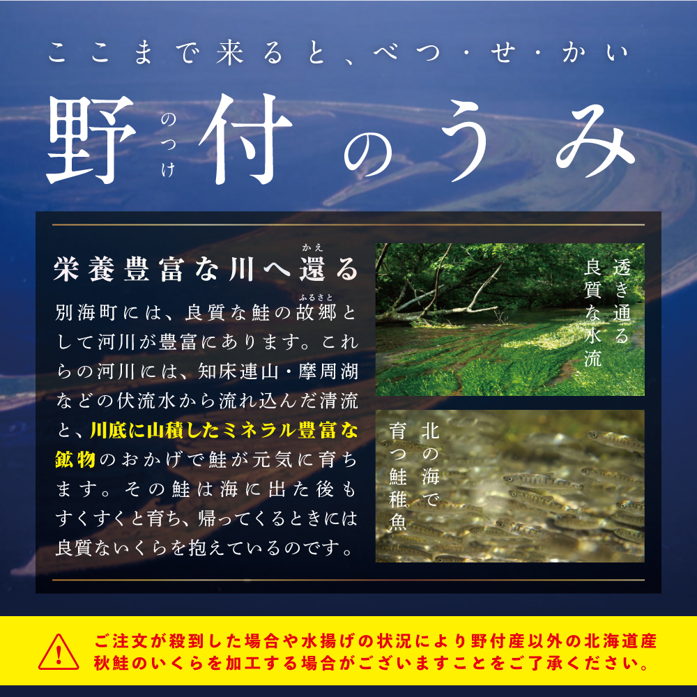 北海道別海町のふるさと納税 いくら！漁協 直送！本場「北海道」 いくら 醤油漬け 750g！【NK0003NQ5】( いくら いくら醤油漬け いくら醤油漬 醤油いくら 鮭いくら 国産いくら 北海道産いくら 地場産いくら 道産いくら 別海町 ふるさと納税 ふるさと ikura お届け）