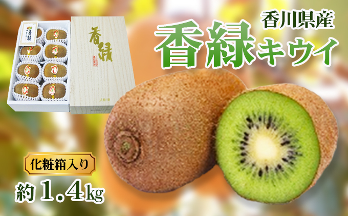 香緑（こうりょく）キウイ　約1.4kg　セゾンのふるさと納税　化粧箱入り　香川県東かがわ市