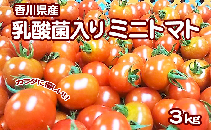 ミニトマト3kg」（香川県東かがわ市）　カラダに優しい「乳酸菌入り　ふるさと納税サイト「ふるさとプレミアム」