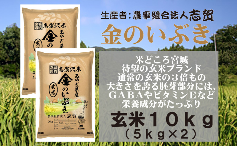 宮城県岩沼市産 志賀沢米 金のいぶき　玄米10kg（5kg×2）