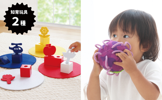 静岡県浜松市のふるさと納税 出産祝い 知育玩具２種セット(６)