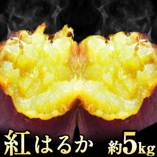紅はるか 約5kg [30日以内に出荷予定(土日祝除く)] 熊本県御船町 秋 旬 野菜 有限会社ニシムラ