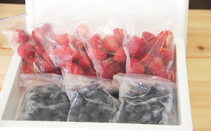 北海道洞爺湖町のふるさと納税 役に立ちます！冷凍カット果物2種( ブルーベリー100g×3袋＆いちご100g×4袋) ※2023年8月中旬より順次出荷