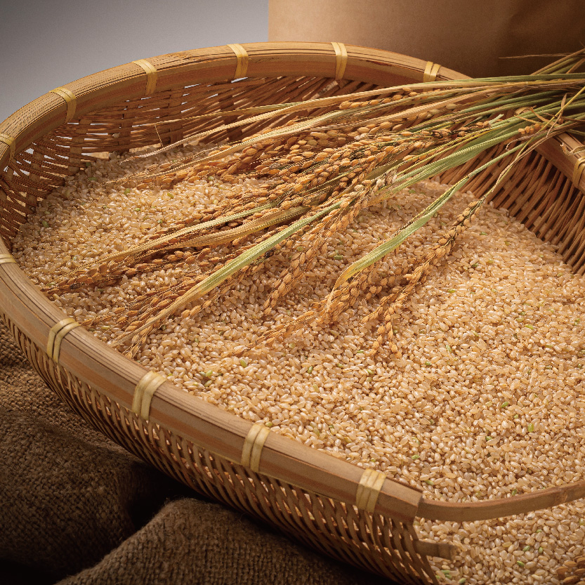 令和5年産 北海道米　ゆめぴりか　玄米　10kg