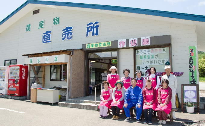 北海道南富良野町のふるさと納税 南ふらの産 朝採り とうもろこし (イエロー)【サイズ混合】10本 北海道 南富良野町 トウモロコシ とうきび トウキビ 2025年発送 先行予約 野菜 12本 コーン