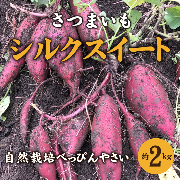 自然栽培 さつまいも佐賀県産 19キロ | www.esn-ub.org