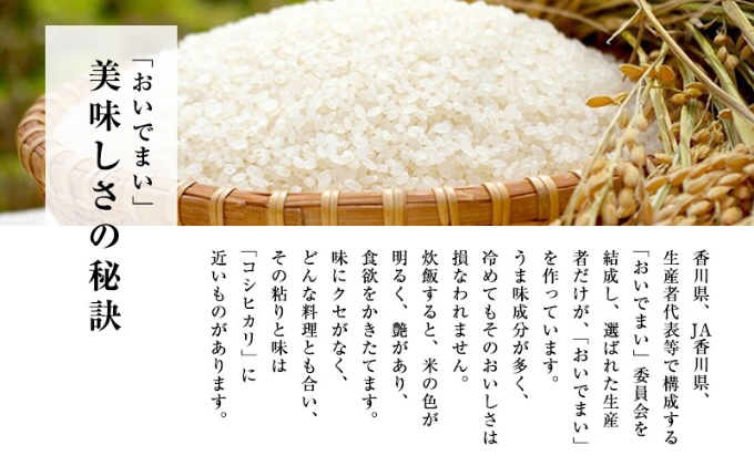 さぬきの米 おいでまい（無洗米）10kg（香川県丸亀市） ふるさと納税サイト「ふるさとプレミアム」