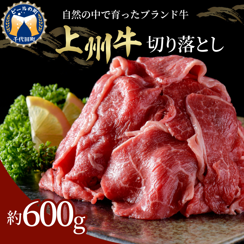 牛肉 切り落とし 上州牛 600g 群馬県 産 千代田町 群馬県千代田町 セゾンのふるさと納税