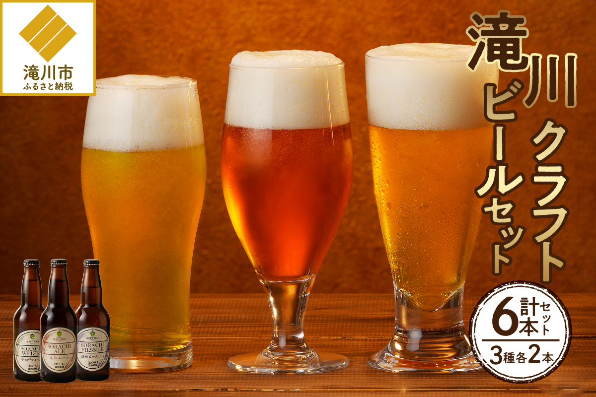 北海道滝川市のふるさと納税 大雪地ビール 滝川クラフトビール 3種 飲み比べ 各2本 計6本｜北海道 滝川市 ビール クラフトビール セット 詰め合わせ 詰合せ 地ビール