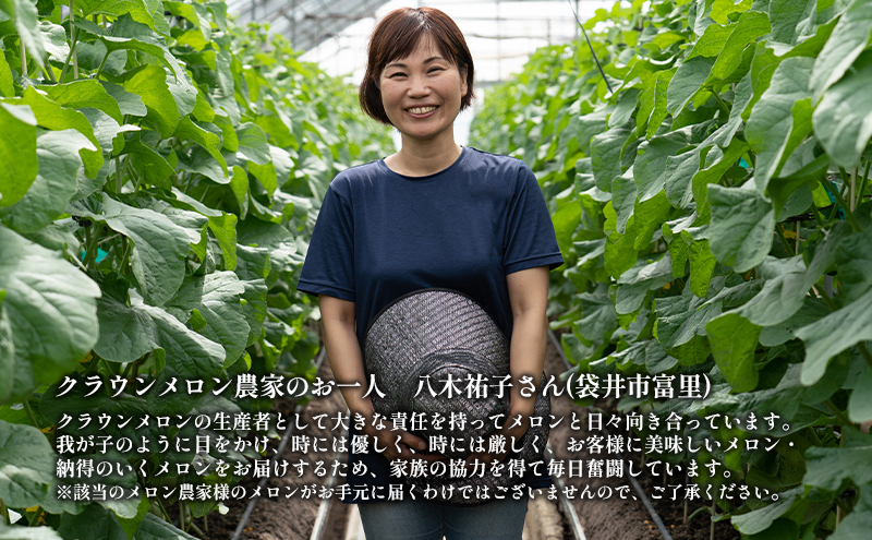 クラウンメロン【上(山等級)】中玉(1.3kg前後)2玉入り 定期 クラウンメロン【上(山等級)】中玉(1.3kg前後)2玉入り 定期