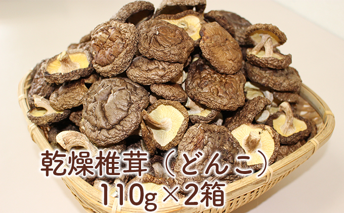 乾燥椎茸（どんこ）110g×2箱（北海道室蘭市）　ふるさと納税サイト「ふるさとプレミアム」