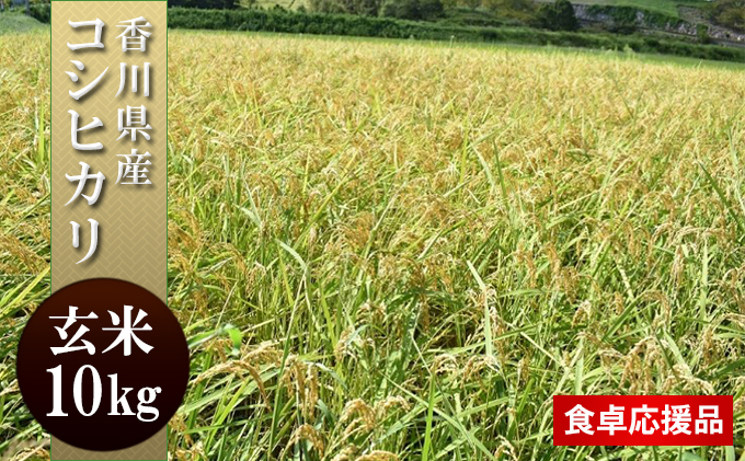 お米を食べよう！令和3年新米「農家応援米コシヒカリ10kg」（玄米）