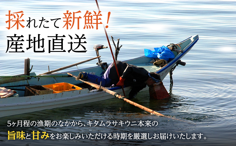 北海道 礼文島産 採れたて キタムラサキウニ 塩水パック 100g×2 北海道 礼文島産 採れたて キタムラサキウニ 塩水パック 100g×2