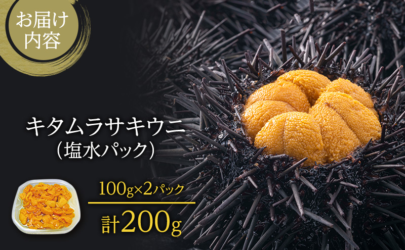 北海道小樽産 生キタムラサキウニ 100g塩水パック A品 業務用