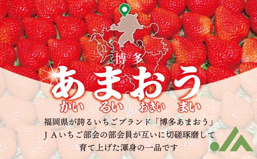 福岡県福津市のふるさと納税 【2025年3月下旬より順次発送】博多あまおう4パック　約1,120g[F2213]