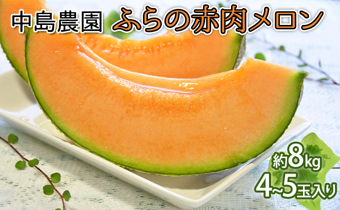 果物　北海道赤肉　大玉4