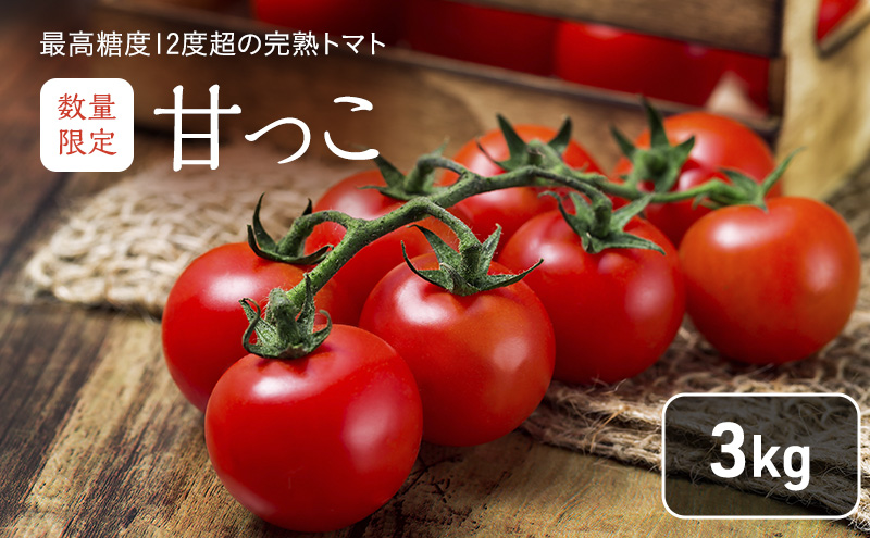 完熟ミニトマト（甘っこ）約3kg  カラートマト付【藏ファーム】