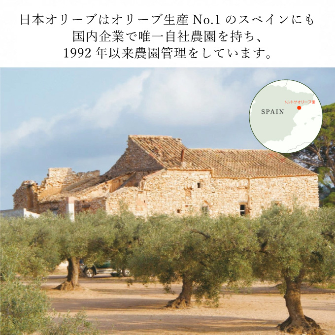 岡山県瀬戸内市のふるさと納税 オリーブオイル エキストラバージン オリーブ オイル トルトサ 1本入箱×2セット エキストラバージンオリーブオイル 油 オリーブ油 食用油 ギフト セット 2024年