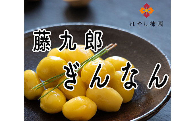 【岐阜県瑞穂市】藤九郎ぎんなん 1kg|野菜 銀杏 ※2025年11月上旬頃より順次発送予定 ※離島への配送不可
