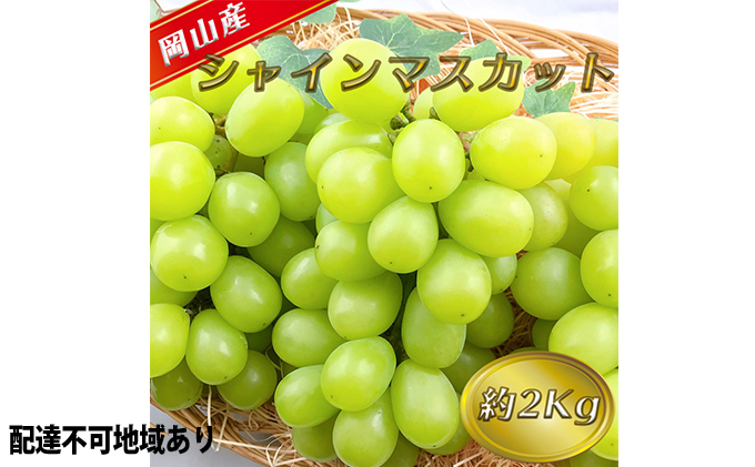 8月6日収穫 岡山県産シャインマスカット 2kg 通販
