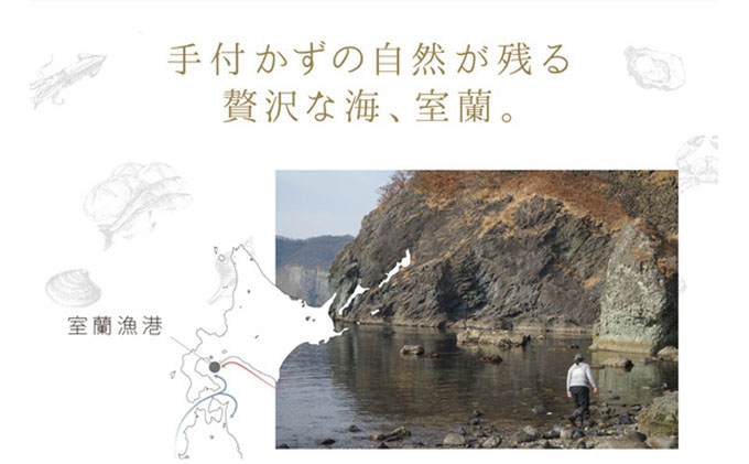 漁師が作った北海道シーフードカレー 4パック（北海道室蘭市） ふるさと納税サイト「ふるさとプレミアム」