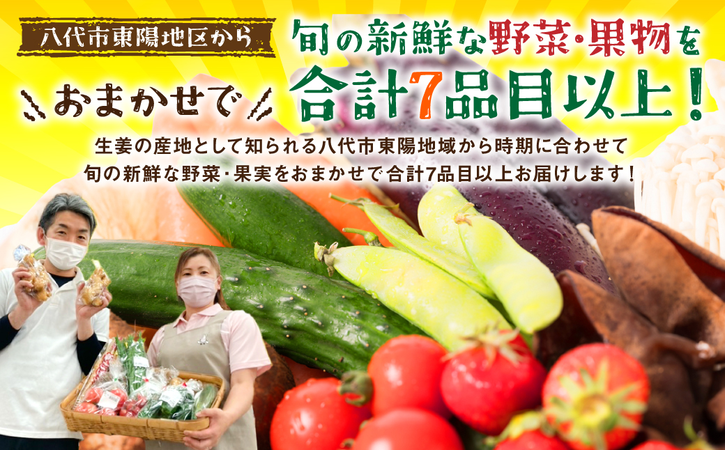 熊本県八代市のふるさと納税 【毎月お届け】【定期便3回】八代市産！旬の農産物詰合せ 復興 福袋 7品以上