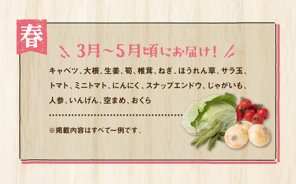 熊本県八代市のふるさと納税 【毎月お届け】【定期便3回】八代市産！旬の農産物詰合せ 復興 福袋 7品以上