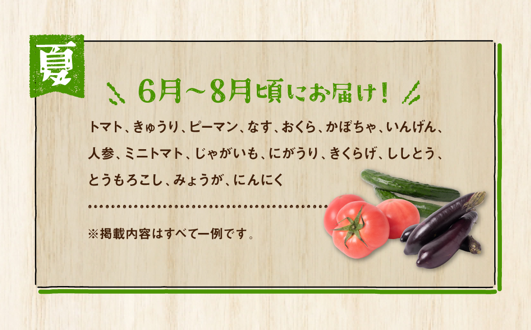 熊本県八代市のふるさと納税 【毎月お届け】【定期便3回】八代市産！旬の農産物詰合せ 復興 福袋 7品以上