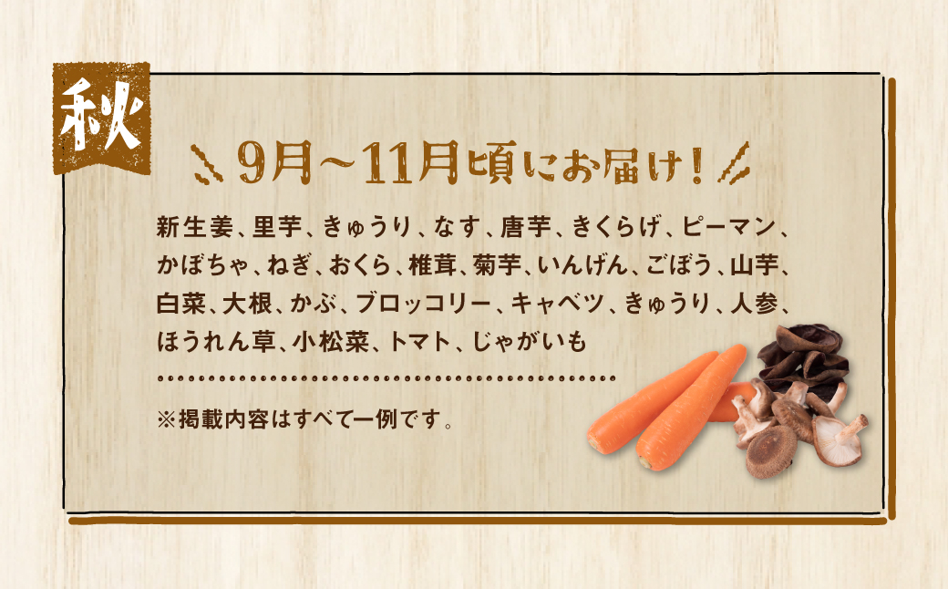 熊本県八代市のふるさと納税 【毎月お届け】【定期便3回】八代市産！旬の農産物詰合せ 復興 福袋 7品以上